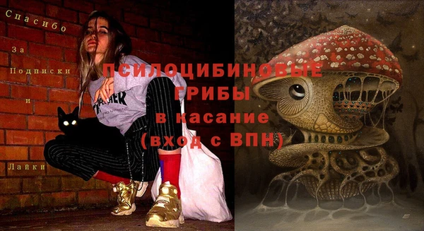 круглые Снежинск
