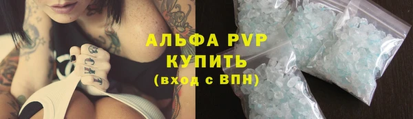 spice Снежногорск