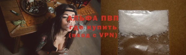 spice Снежногорск