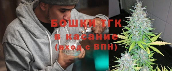 сатива Сосновка
