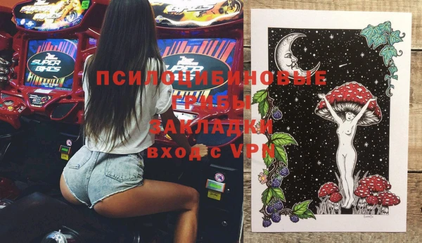 СК Сосновый Бор
