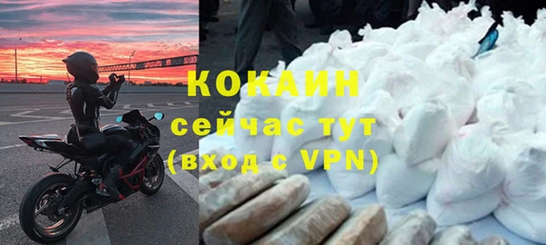 сатива Сосновка