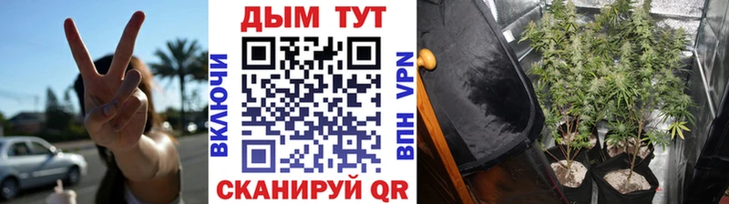 Марихуана планчик маркетплейс официальный сайт Беломорск